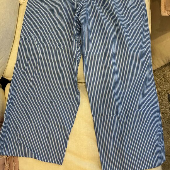 Anthropologie Boxer Pants - Blue Striped - Picture 1 of 3